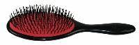 bristle brush