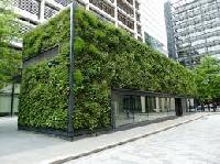 green wall