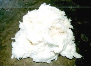 Raw Cotton