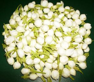 Fresh Jasmine Flower (02)