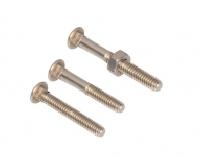 Carriage Bolt