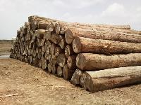sheesham wood