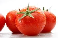 Lycopene