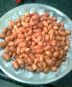 Groundnut Seeds