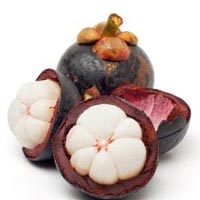 Garcinia Cambogia Extract