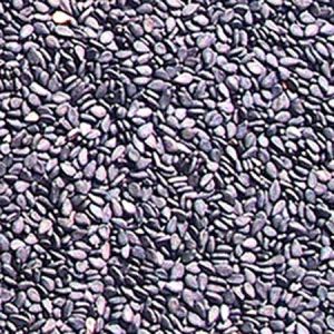 Black Sesame Seeds