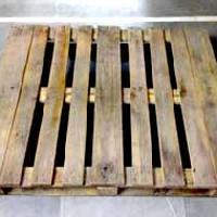 Eucalyptus Wood Pallets