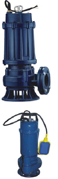 Cast Iron Sewage Souble Channel Pump