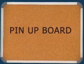pin up board