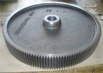 Spur Gear