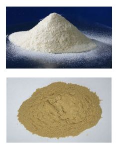 Food Powder