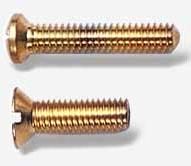 Bs - 02 Brass Screws