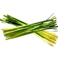 Lemongrass Essential Oil