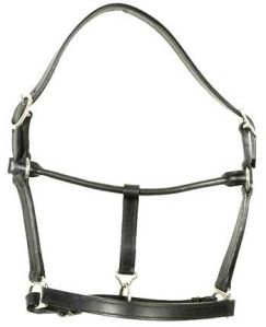 Halters