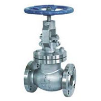 Globe Valve