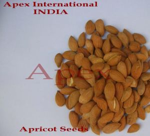 Apricot Seeds