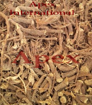 coleus forskohlii root extract