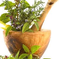 cosmetic herbs