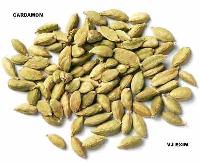 Cardamom Seeds