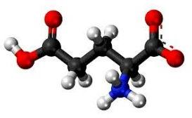 D-glutamic Acid