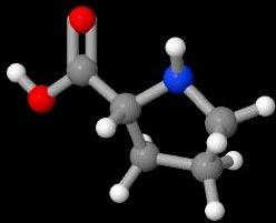 D-Proline