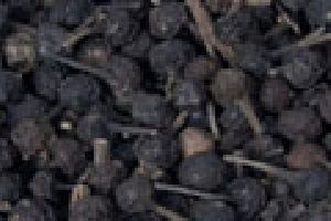 Black Pepper Oil