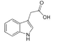 Indole-3-acetic acid