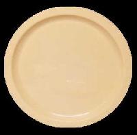 Plastic Dinner Plate