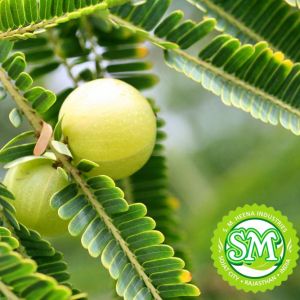 Amla Powder