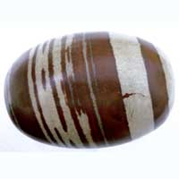 Narmada Shiva Lingam