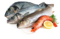 sea marine foods