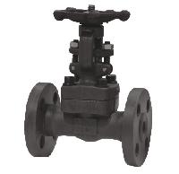 Forged Valves