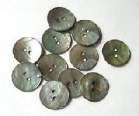 Shell Buttons