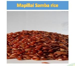 Organic Mappillai Samba Rice