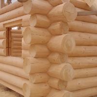 Round Timber Logs