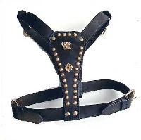 Dog Harness Set