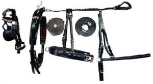 Horse Harness Set