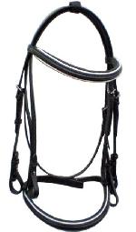 Leather Bridle