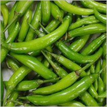 Fresh Green Chilli