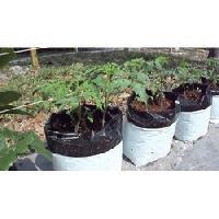 single plant grow bags