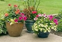 outdoor flower pots