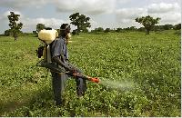 neem pesticides