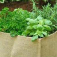 Herb Garden Bag