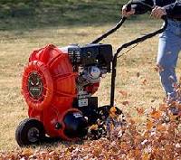 leaf cleaning equipment