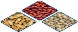 Groundnuts