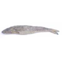  Dry Fish (Baligerada)