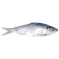Dry Fish (Kabala)