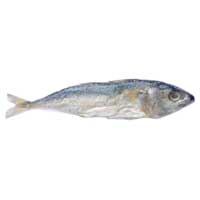 Dry Fish (Kanagurda)
