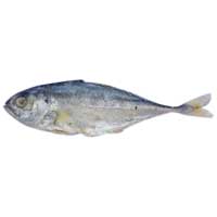 Dry Fish (Scomberoides Tala)