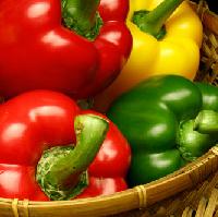 Color Capsicum